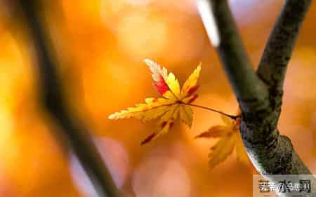 总被某些人耗尽精力，越讨厌越被操控？我做了个意外决定