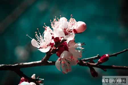 怪不得80岁老人不受子女待见，养老院3个真实现状，揭开残酷真相