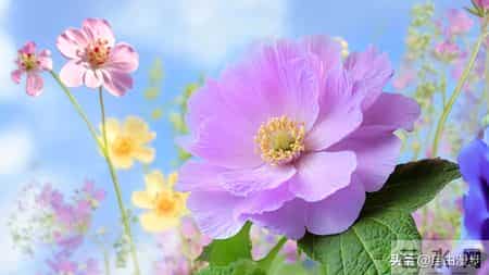 孩子，上天送你的“幸运盲盒”，拆开就是人生赢家