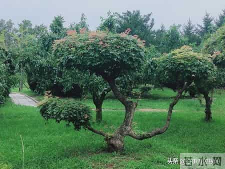 70岁大爷忠告-子女再孝顺也别住在一起，这3个弊端太现实