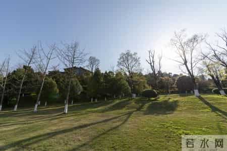 越跟烂人较真，你输得越惨！这效应要懂