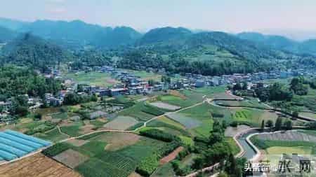 退休三年才明白：不干活还能拿钱，吃饭睡觉就是在挣钱，太爽！