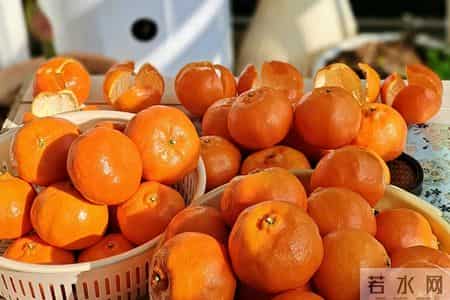 国外研究：橘皮加热100°C，能杀死93%的癌细胞，科学还是谣言？