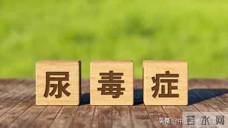 尿毒症营养误区：你以为缺钾磷，真正缺失的可能是镁锌！