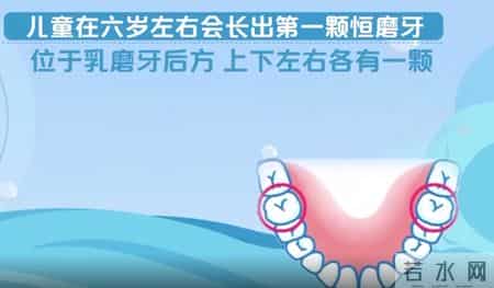 孩子健康成长年度指南（家长收藏）