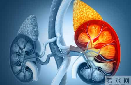 60岁大爷血压骤降昏迷，医生：苯磺酸氨氯地平不可和这3种药搭配