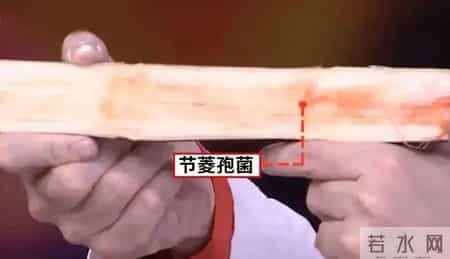 别吃！赶紧扔掉！正大量上市，很多深圳人爱吃