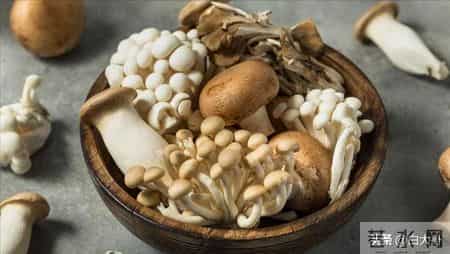 震撼！冬天洗澡别瞎勤快！多久洗1次才健康？搓泥等于毁皮肤？