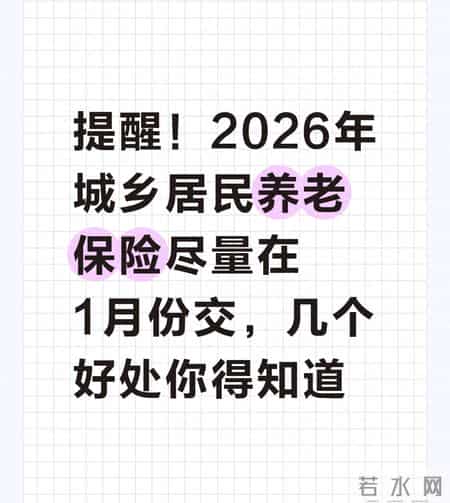 提醒！2026年城乡居民养老保险尽量在1月份交，几个好处你得知道