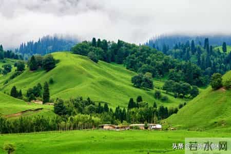 六十岁后才明白，养儿防老，是最大的一个鬼话，你们信吗？