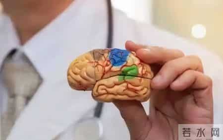 每吃一次，大脑萎缩就快一步？劝告：6物或是老年痴呆催化剂