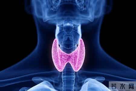 医生发现：甲状腺癌患者若每天睡午觉，不出半年，或出现4个变化