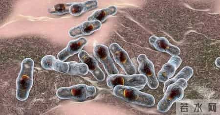 不要吃！不要吃！医院已接诊30多例中毒患者，3到5毫克即可致死！