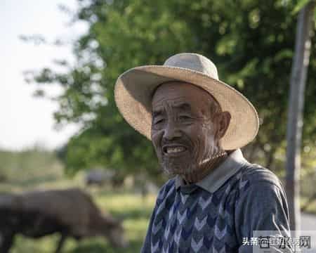 现在社会,70岁老人越来越少，你知道什么原因吗？