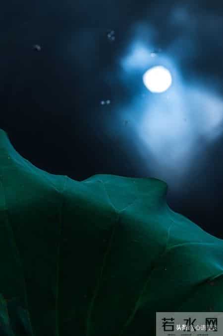 我52岁，退休后才发现：哪怕每月一两千的退休金，也是被人羡慕的