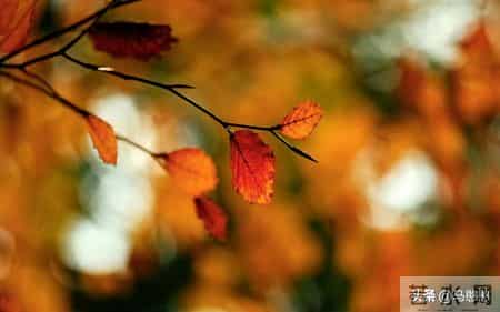 总被某些人耗尽精力，越讨厌越被操控？我做了个意外决定