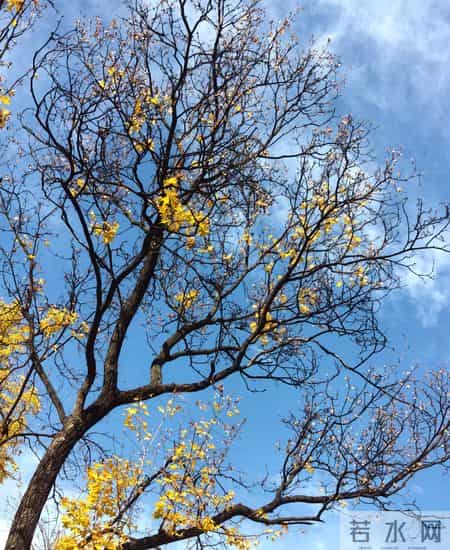 社保缴费藏玄机0.6档最划算3倍档最亏？缴费和领取的“倒挂”真相