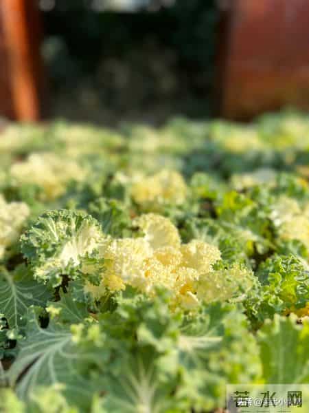 退休阿姨谈职场：累的不是工作，是人心