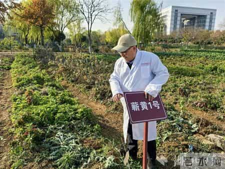 托举十大道地楚药底盘——专访湖北科技进步一等奖获得者、湖北中医大学刘大会教授团队