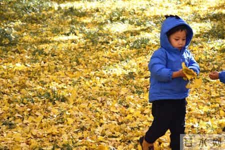 语言发育迟缓孩子只会仿说，怎么引导主动语言丨吴老师语言帮帮忙