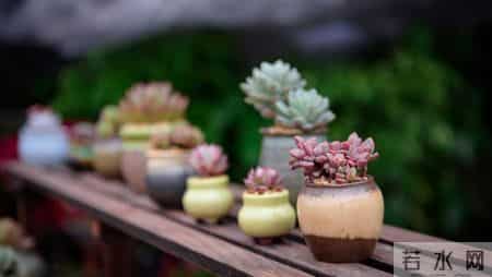 外孙入托女婿请我去旅游，七天回来发现没我地方，背包回老家独居