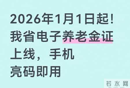 2026年1月起浙江启用电子养老金证！手机亮码即用，与纸质证同效