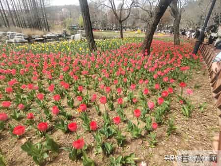 沟通不是说话比赛，是灵魂的桥接实验