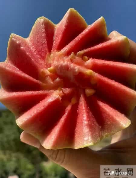 月薪3000也能轻松消费！地铁超市10元3个鲜面包，主打新鲜又便宜