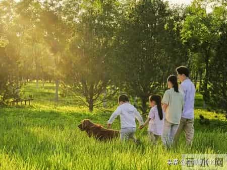 2026务必为孩子“接福”科学证实孩子将迎来健康、平安与顺遂人生