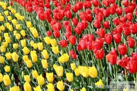 别被“35岁生死线”吓破胆未来职场是自由搏击这几类人比金子还贵