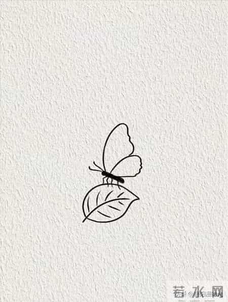 画个简笔画分享