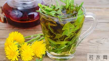 中药又立功？蒲公英可杀死98%癌细胞、消除结节？揭开研究真相