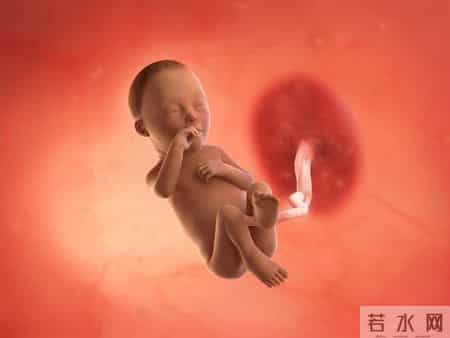 怀孕1-40周，胎儿发育每周变化！孕妈妈的干货科普