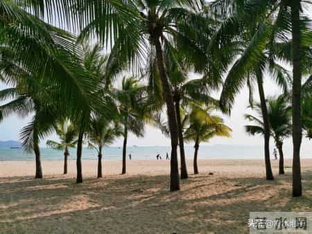 记住！心狠可破万局