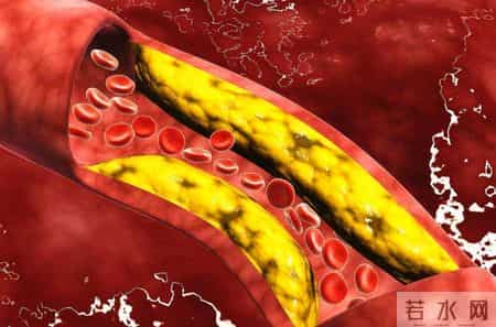 山楂成为关注对象！医生：常吃山楂，不出3个月，身体或有5大改善