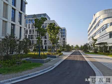 作为国企公司副总经理的她，如今被查处，给人留下了深刻的警醒