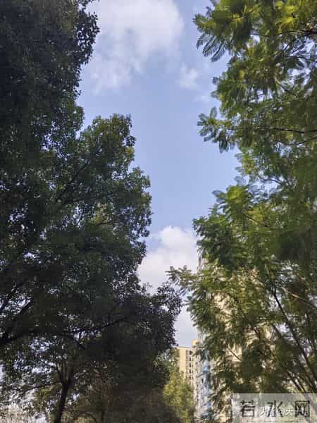 我退休5年，今年55岁，女人55岁有这6点欲望，是人生新的起点