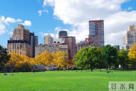 七十岁后最怕什么？这5个养老雷区，90%的家庭都踩过