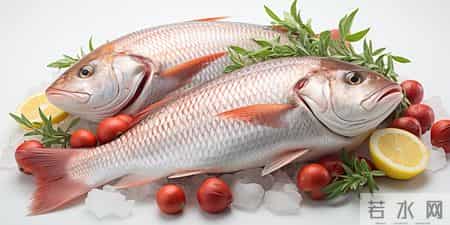 这种鱼是癌症加速器，医生：再爱吃也要忍住嘴，不然离癌症不远了