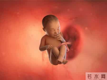 怀孕1-40周，胎儿发育每周变化！孕妈妈的干货科普