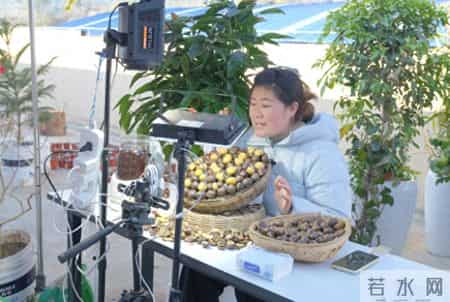 家门口有了就业新阵地——我州打好组合拳促进就业稳增收