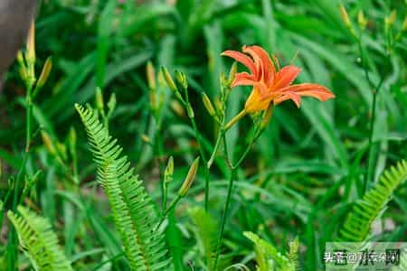 58岁攒8万被笑寒酸，一场病才知，晚年的底气不就靠这点存款给的