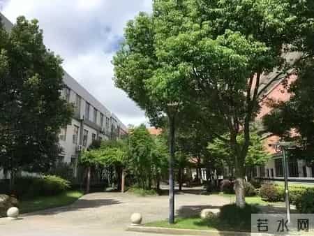 中国军事化管理体系有多强？为什么说我们是全球组织化顶尖国家？