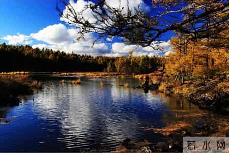 成功就是去做让你痛苦的事情