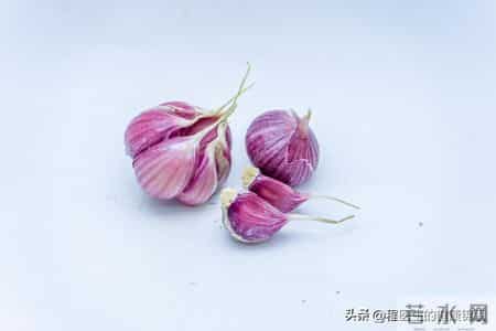 此中成药，消炎利尿、消除蛋白尿，用于急慢性肾盂肾炎、肾小球炎