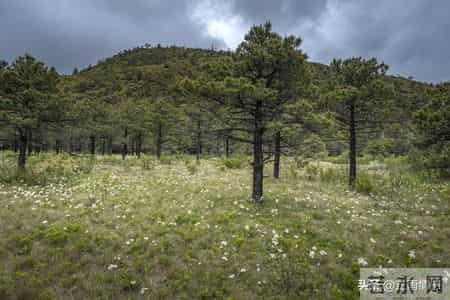 改变一个孩子最有效的手段，不是讲道理、发脾气，而是这两个字