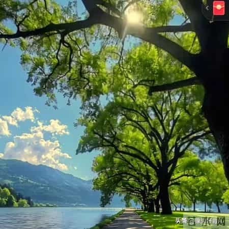 23分钟不打扰：从蚯蚓黏液里，挖出最硬核的育儿真相