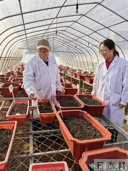 托举十大道地楚药底盘——专访湖北科技进步一等奖获得者、湖北中医大学刘大会教授团队