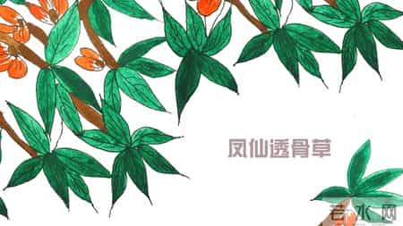 祖传方【化铁丹】，轻松应对前列腺增生，组成简单，效用明显。