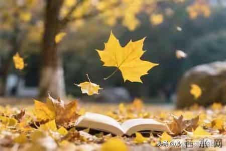 人到老年：别让幸福等成遗憾！想做的事立刻做！想喜欢的人去珍惜